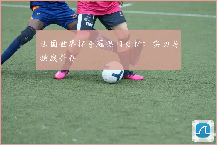 法国世界杯夺冠热门分析:实力与挑战并存