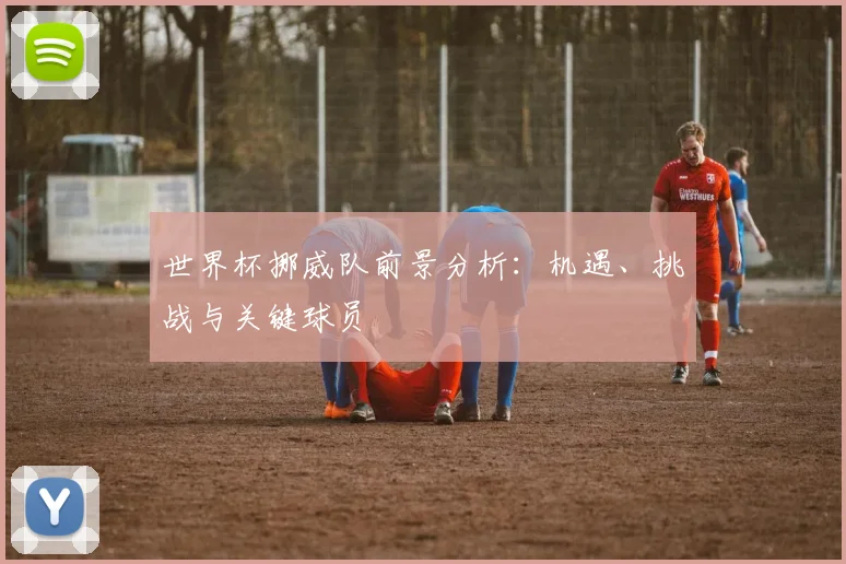 世界杯挪威队前景分析：机遇、挑战与关键球员