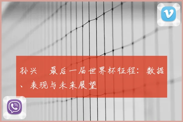 孙兴慜最后一届世界杯征程:数据、表现与未来展望
